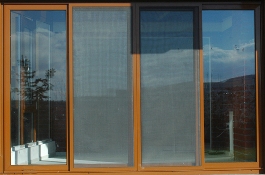 Pencere sinekliği büyük tehlike