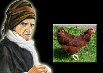Said Nursi odunla tavuğu kovalıyordu!