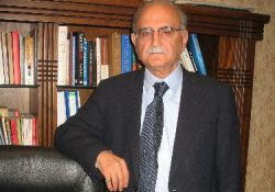 Kürtler, Anayasa değişiklik paketine 'evet' diyecek