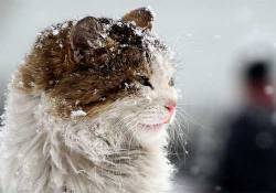 İlk soğuk hava dalgası geliyor!