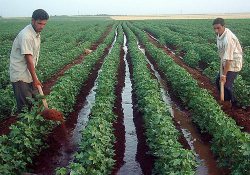 GAP'ta çalışan sayısı 218 bin kişi arttı