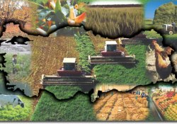 Tarım tabanlı kalkınma şart