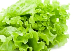 Vejetaryenler dikkat! Asabiyet kapınızda