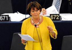 raporu yazıyorum, Kıbrıs raporu değil