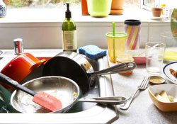 'Gıdada hijyen mutfaktan geçer'