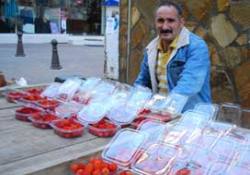 İşsiz baba bitkilerle çocuklarını okutuyor