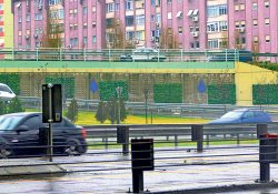 Trafik gürültüsüne 'yeşil' çözüm
