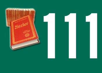 Risale-i Nur'daki 111 sayısını kurcalayalım