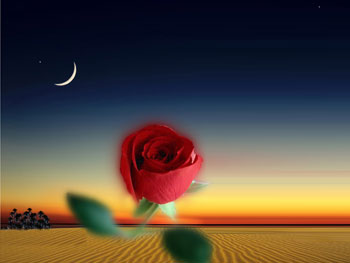 İşte peygamberimizin baştan-aşağı tasviri