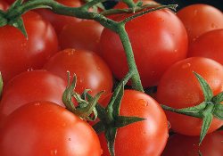 Rusya'ya ihracat 1 milyar doları aşacak