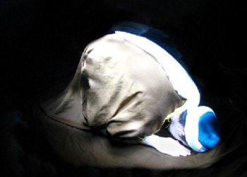 Namaz kılmak ödev değil bir imtiyazdır