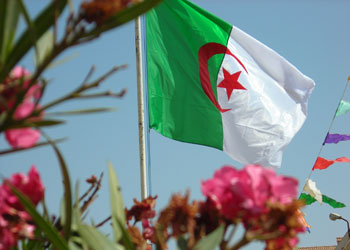 Cezayir'den Risale Haber'e davet