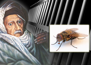 Said Nursi hapiste sinek avını protesto etti