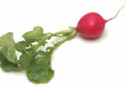 Kışın Turp Gibi Olmak İçin Turp Yiyin