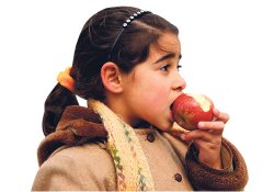 Elma, Ömrü uzatıyor