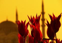 Ayrılık içinde bir kavuşma vardır