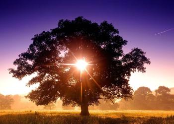 Ey Nurcular gelin biz Reşha olalım