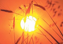 Güneşte, orta ölçekte parlama meydana geldi