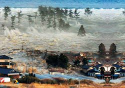 Tsunami buzuldan parçalar kopardı