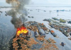 Tsunami bu kez Japon başbakanı vurdu