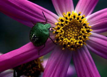 Sosyal Sorumluluk firmalara ne kazandırıyor?