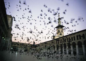 Said Nursi ve Atatürk'ün yolu Şam'da kesişti