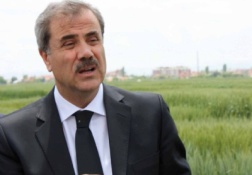TAHIL AMBARI DOLACAK