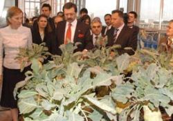 Tohumda dışa bağımlılığı azalacak proje