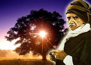 S.Nursi, ağacın kesilmesine bile ağlayan insan