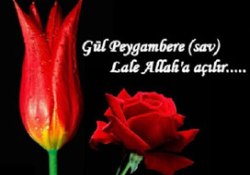 O'nun merhameti, Lale ile birleşti