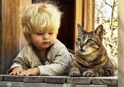 Evcil Hayvanlara Pasaport Zorunluluğu