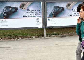 Hayvan hakları için İslami mesajlar...