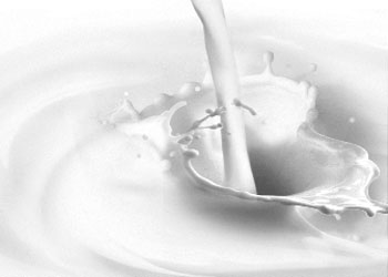 Şüphesiz sütte, sizin için ibret vardır