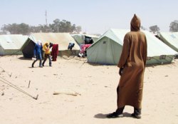 Kaddafi'den kaçarken sefalete tutuldular
