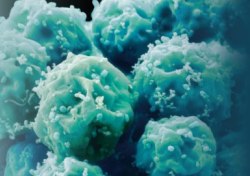 Kansere karşı etkili yeni ilaç