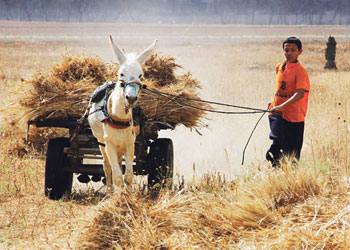 BM: Gazze'de işsizlik oranının yüzde 45'den fazla