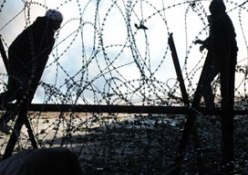 Filistin'de öğrenci ve sanatçılar Nakba'yı duvarlara resmediyor.