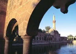 Şanlıurfa ve Filistin kenti kardeş oluyor