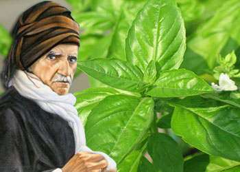 Said Nursi boynuna fesleğen çiçeği takardı