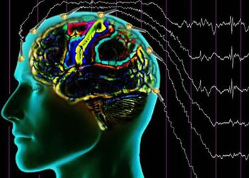 Beyinde düşünceyi kelimeye döken bölge