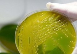 Almanya'dan rahatlatan açıklama