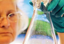 EHEC, bağırsak enfeksiyonu şeklinde başlıyor