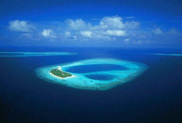 Allah yolunda öldürülenler