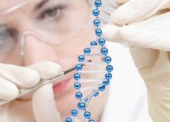 Merdiven altı kök hücre üretimine son!