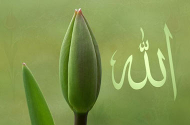 Mahşerde helalleşme nasıl olacaktır?