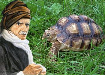 Said Nursi kaplumbağa ile ciddi ilgilenirdi