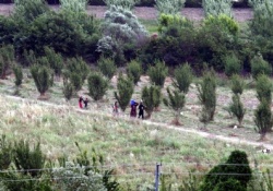 Suriye, Türkiye sınırında operasyon yapıyor