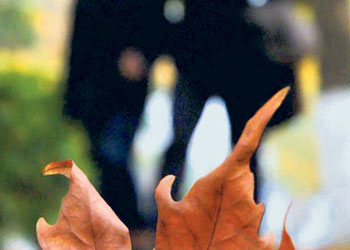 Evliler, bekarlara oranla daha mutlu