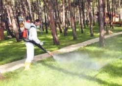 Temmuz aylarında kene vakalarında artış olabilir