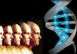 Yaşlanmanın gizi çözülüyor!